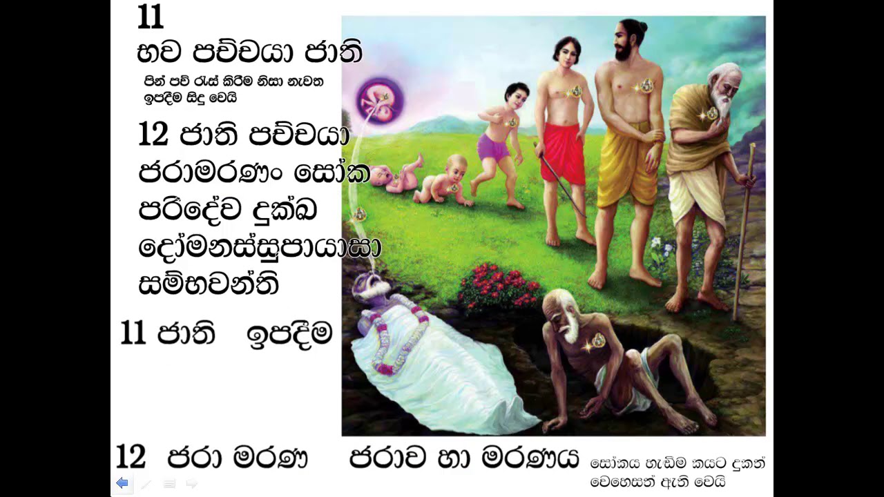 PATICHCHA SAMUPPADAYA more simplified  පටිච්ච  සමුප්පාදය තවත් සරලව