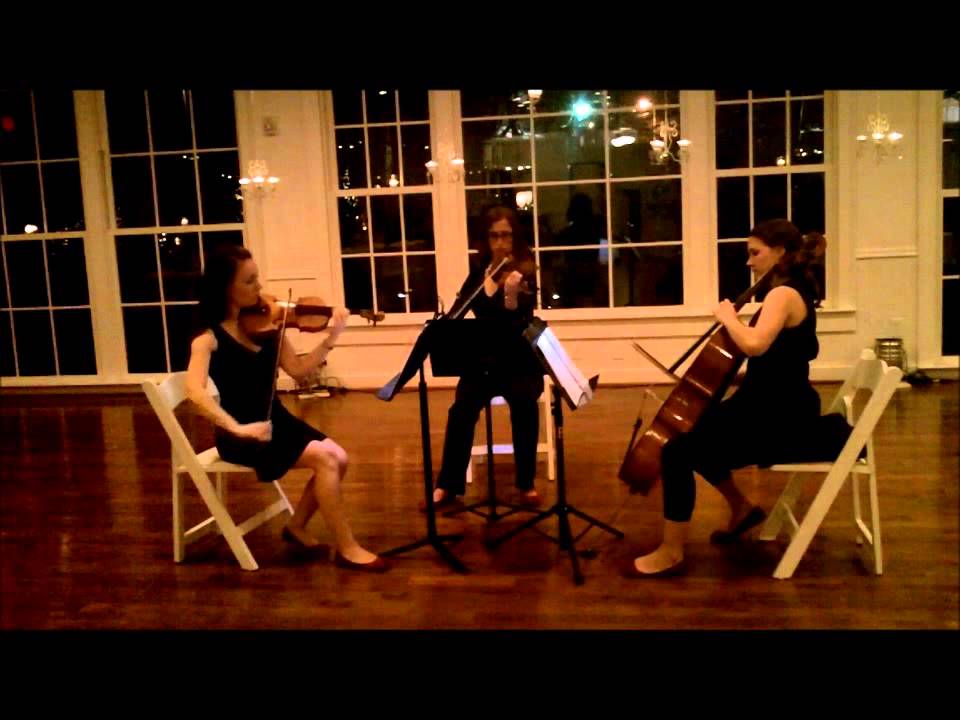 Luna Strings Performs 