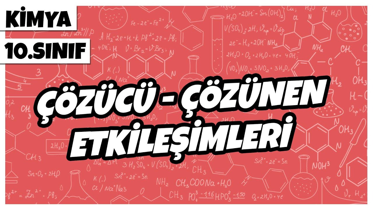 10. Sınıf Kimya - Çözücü – Çözünen Etkileşimleri | 2022