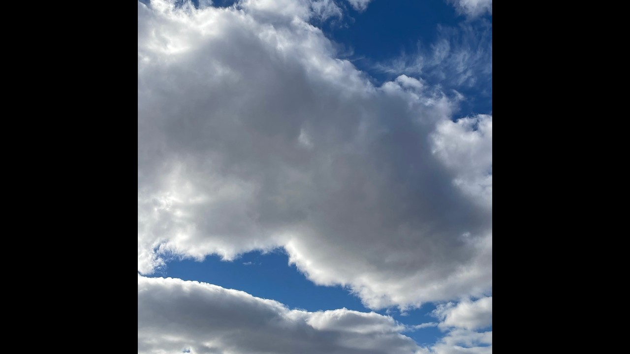2501