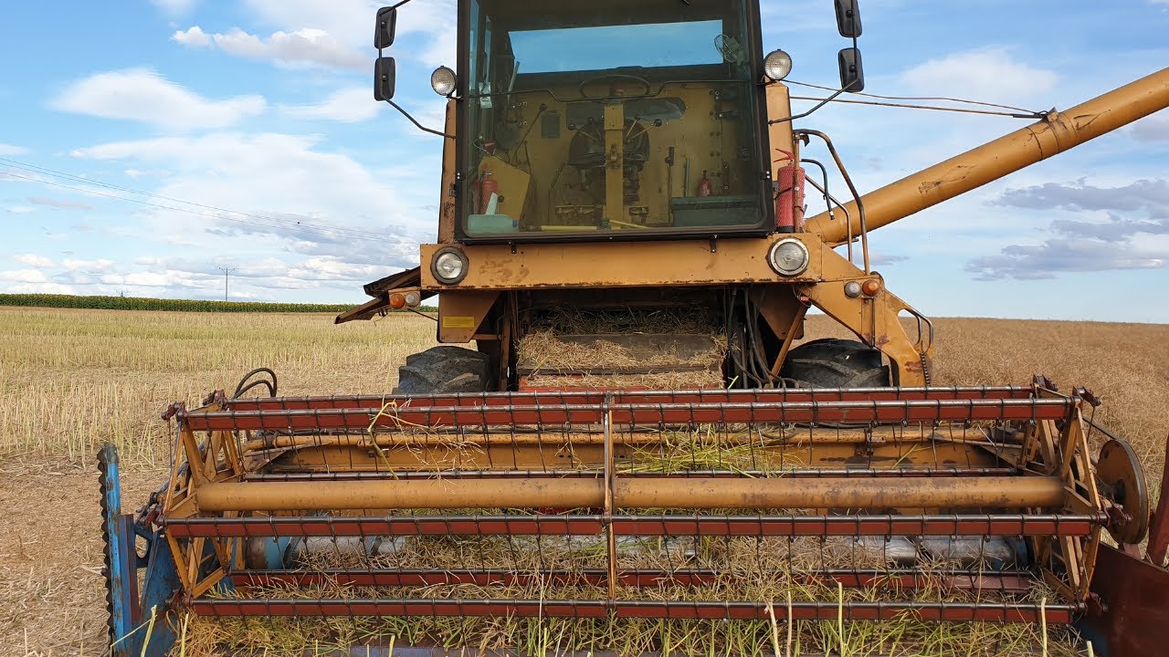 Żniwa rzepaku. 4222 kg/ha, zapchałem młocarnię w kombajnie