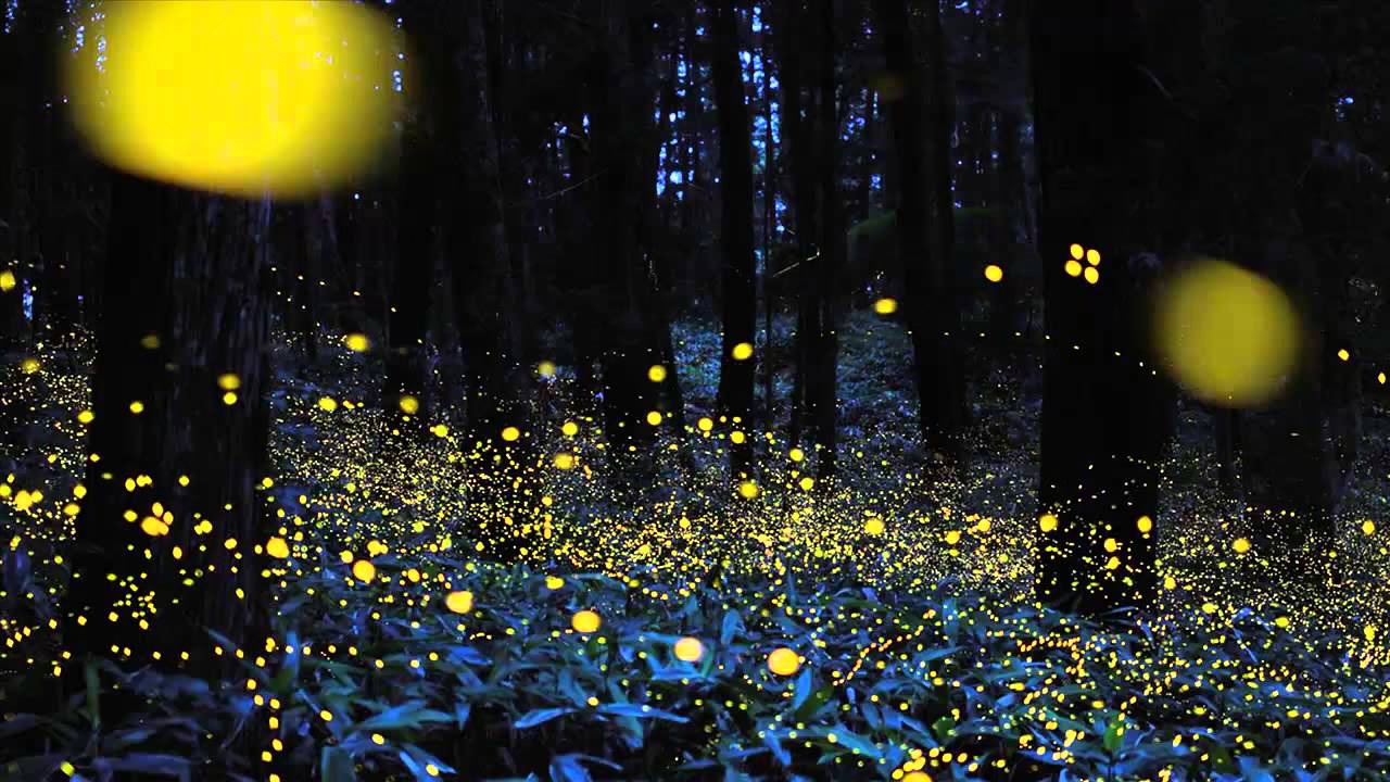 Rob Gould - The Broken Road (HD)