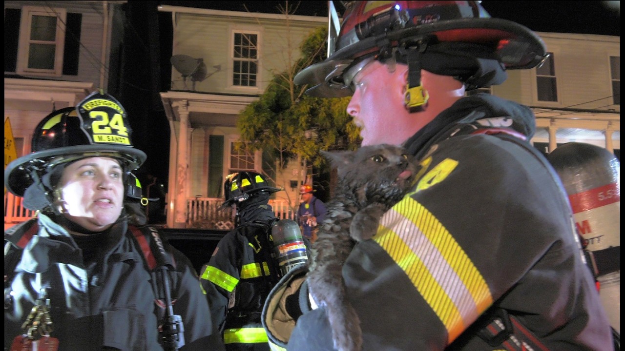 2nd Alarm:  Female and cat's rescued from house fire in Slatington, Pennsylvania