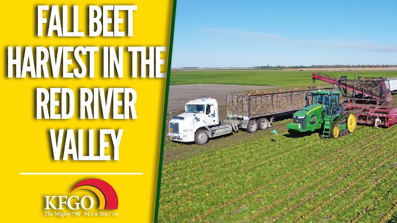 BEHIND THE SCENES: 2022 ND Sugar Beet Harvest | KFGO