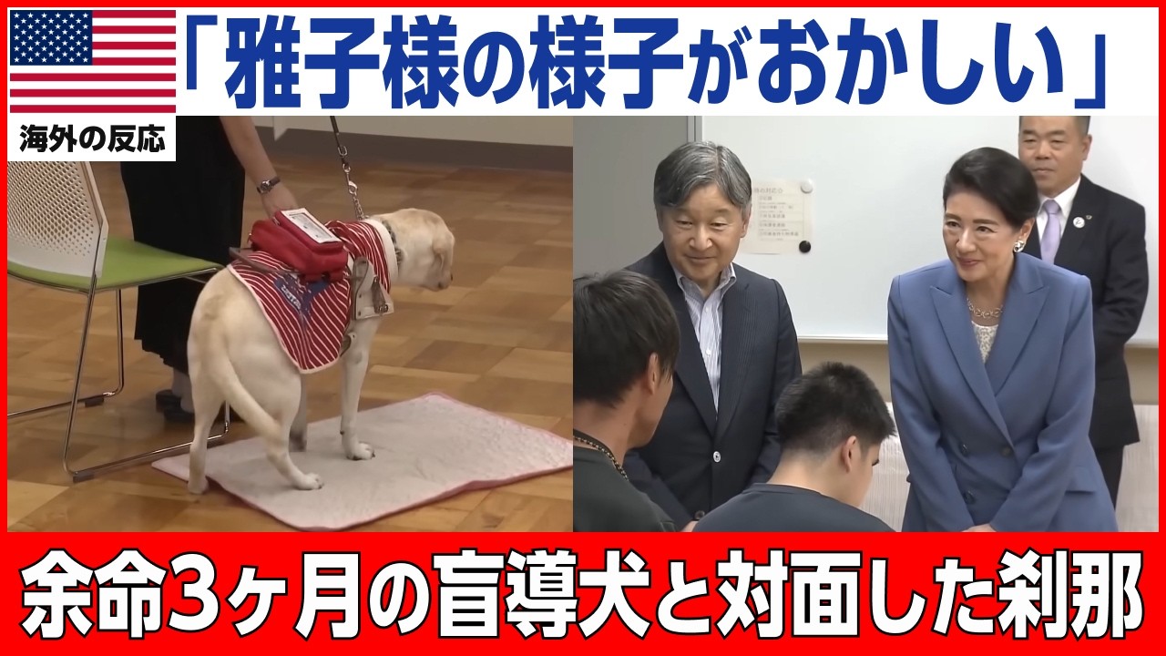 【海外の反応】余命3ヶ月の盲導犬が両陛下に近づいた次の瞬間…雅子様の最後の行動に世界が⋯。