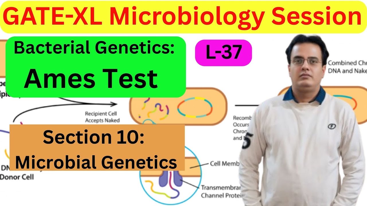 Target GATE-XL-Microbiology: Session no.#37: Ames Test: Microbial Genetics: Section no.10