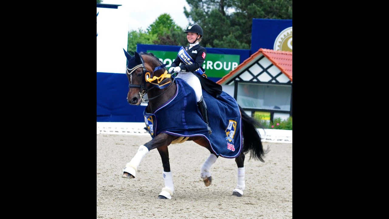Powerfee und Kim 2015