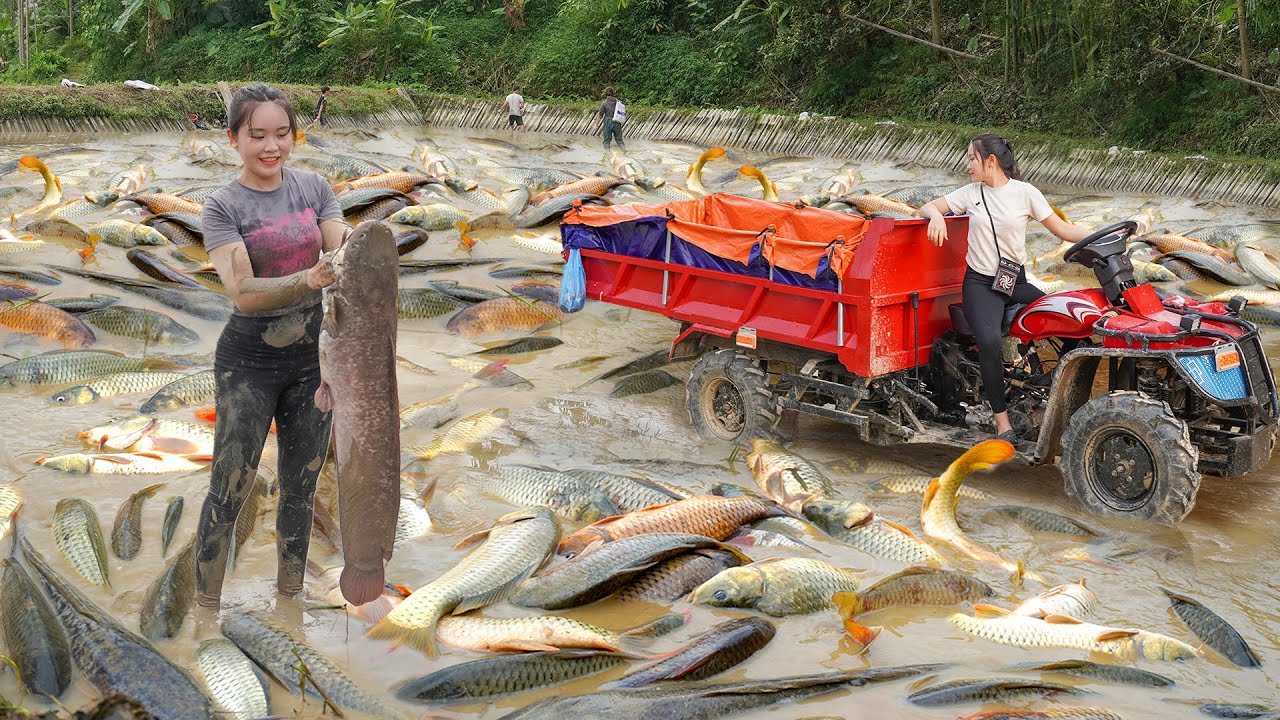 Use Off Road Truck To Catching A Lot Of Fish Goes To Sell For Villager At Market | Chuyên Bushcraft