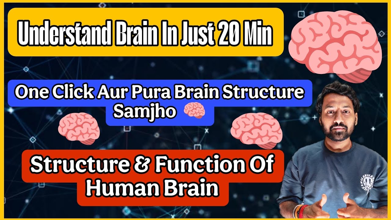 How Human Brain Works? 🧠| Structure & Function of Brain Simplified 🧠 Biology Chapter || Easiest Way