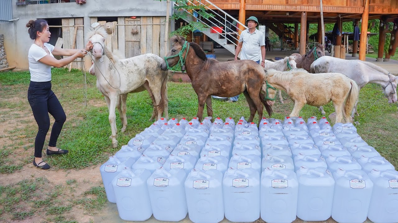 Use Truck Travel 1000Km To Buy Many Horse And Wine Barrels Goes To Sell For Villager