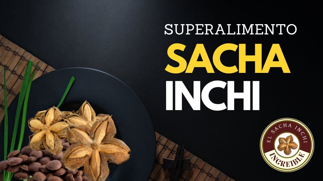 🚀SACHA INCHI: EL SECRETO mejor guardado de la SELVA amazónica para la salud👍