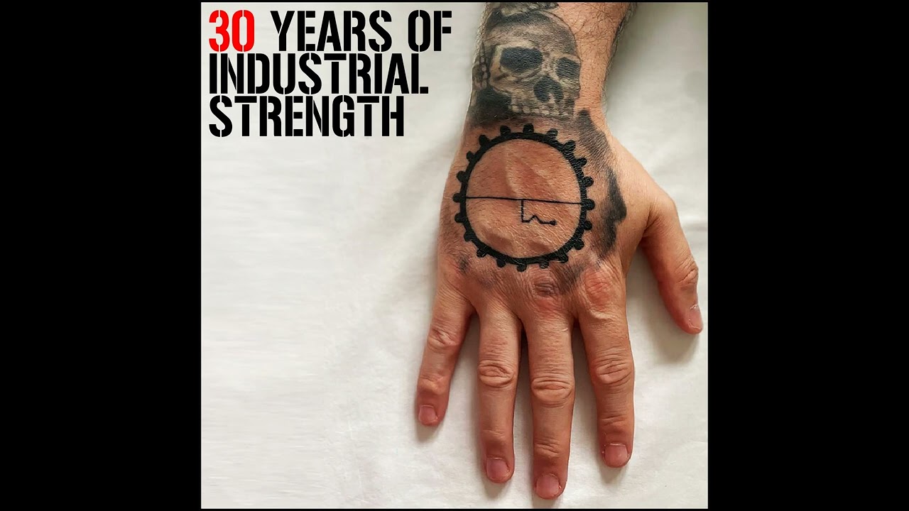 The Berzerker - 30 Years - 30 Years ISR