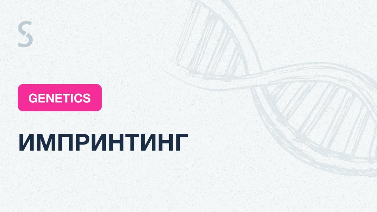 USMLE Step 1 - Импринтинг