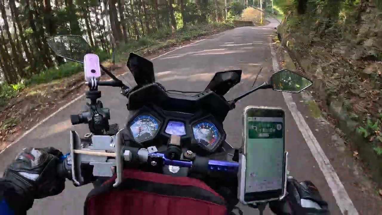 2026 | 2月份 | 櫻花王 | 觀霧森林遊樂區 | 大鹿林道 | 下山路況｜沉浸式旅行｜ASMR | 霧社櫻