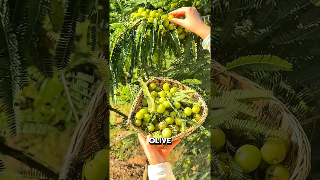 5 Fruits That Don&rsquo;t Taste Sweet at All 🤯🫒