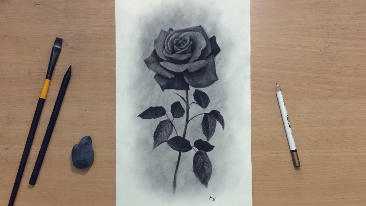 Charcoal Drawing of a Rose