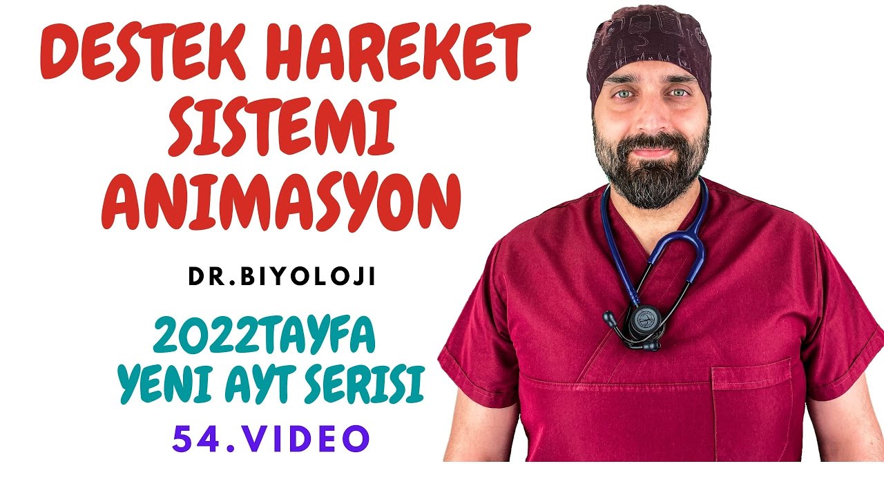 KAS ANİMASYON  LİSE 11. SINIF AYT