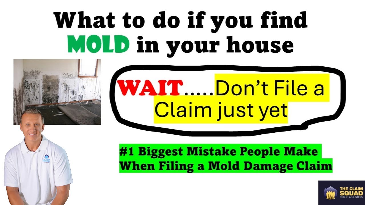 What to do if you find Mold in your house