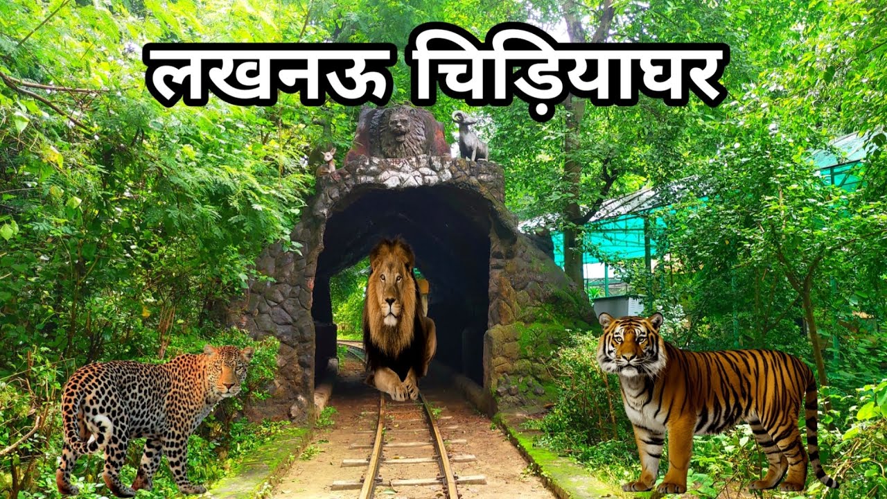 Nawab Wajid Ali Shah Zoological Garden | Lucknow Zoo | लखनऊ चिड़ियाघर