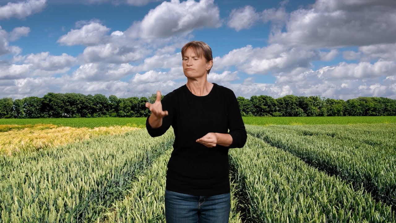 The Parable of the Sower (Auslan)