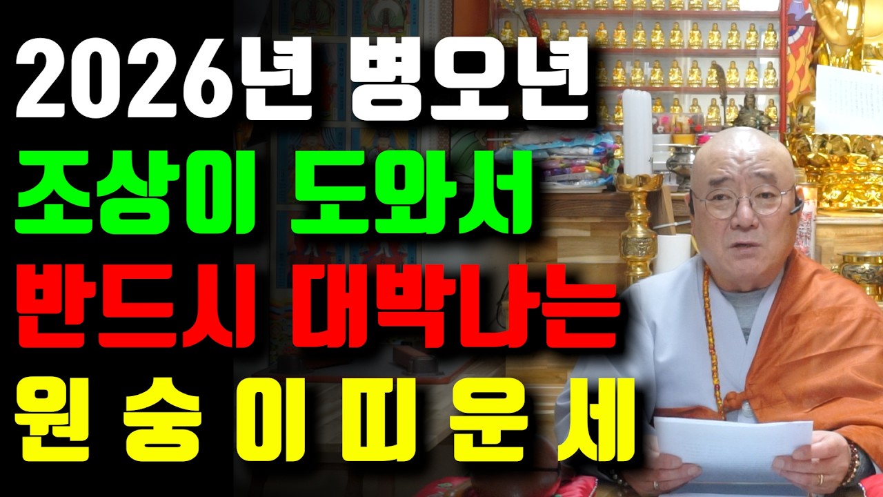 [신년운세] 2026년 병오년 원숭이띠운세 / 하늘과 조상이 돕는 최고의 나이는? / 54년생 68년생 80년생 92년생 04년생 16년생 용띠운세
