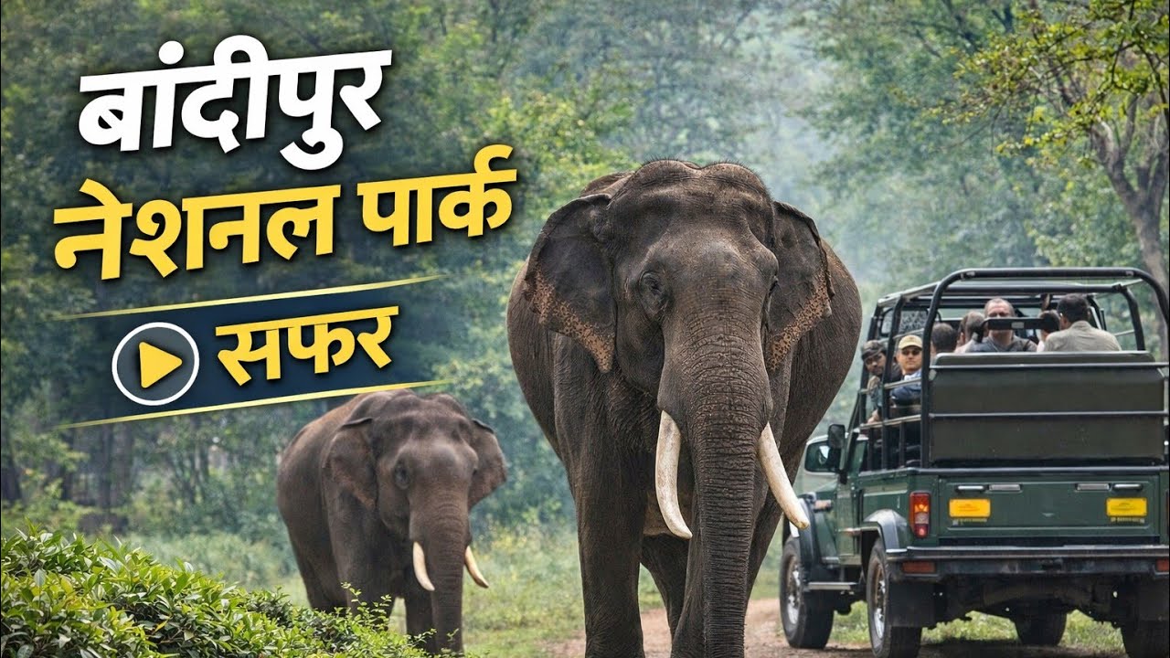 Bandipur tourist place |  Bangalore tourist places
