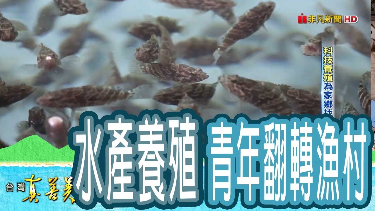 【台灣真善美】“科技養殖”為家鄉找出路 2018.12.09【773-4集】