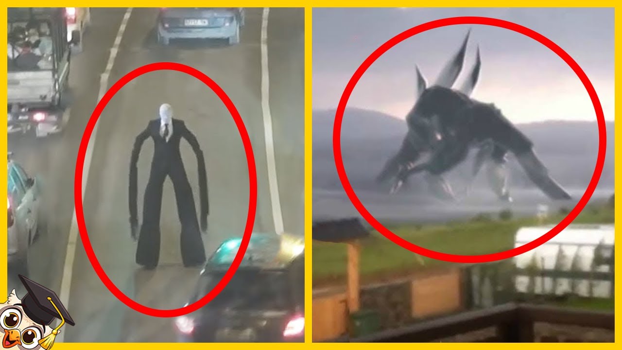 Top 10 Gigantische Wezens Op Camera Vastgelegd - Deel 2