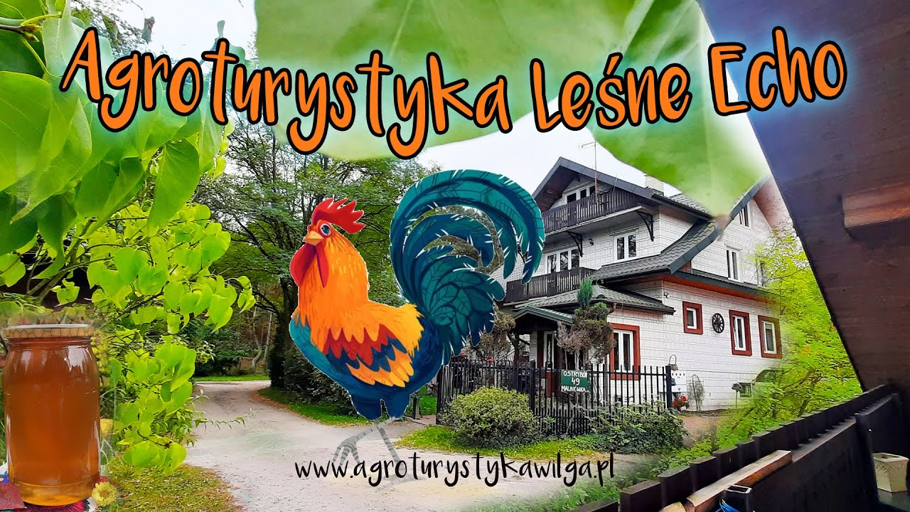 Agroturystyka Leśne Echo &ndash; Twoje miejsce na odpoczynek blisko natury