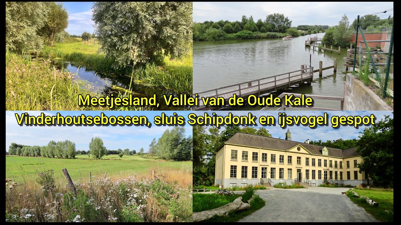 Meetjesland, Vallei van de Oude Kale, Vinderhoutsebossen, sluis Schipdonk en ijsvogel gespot.België 