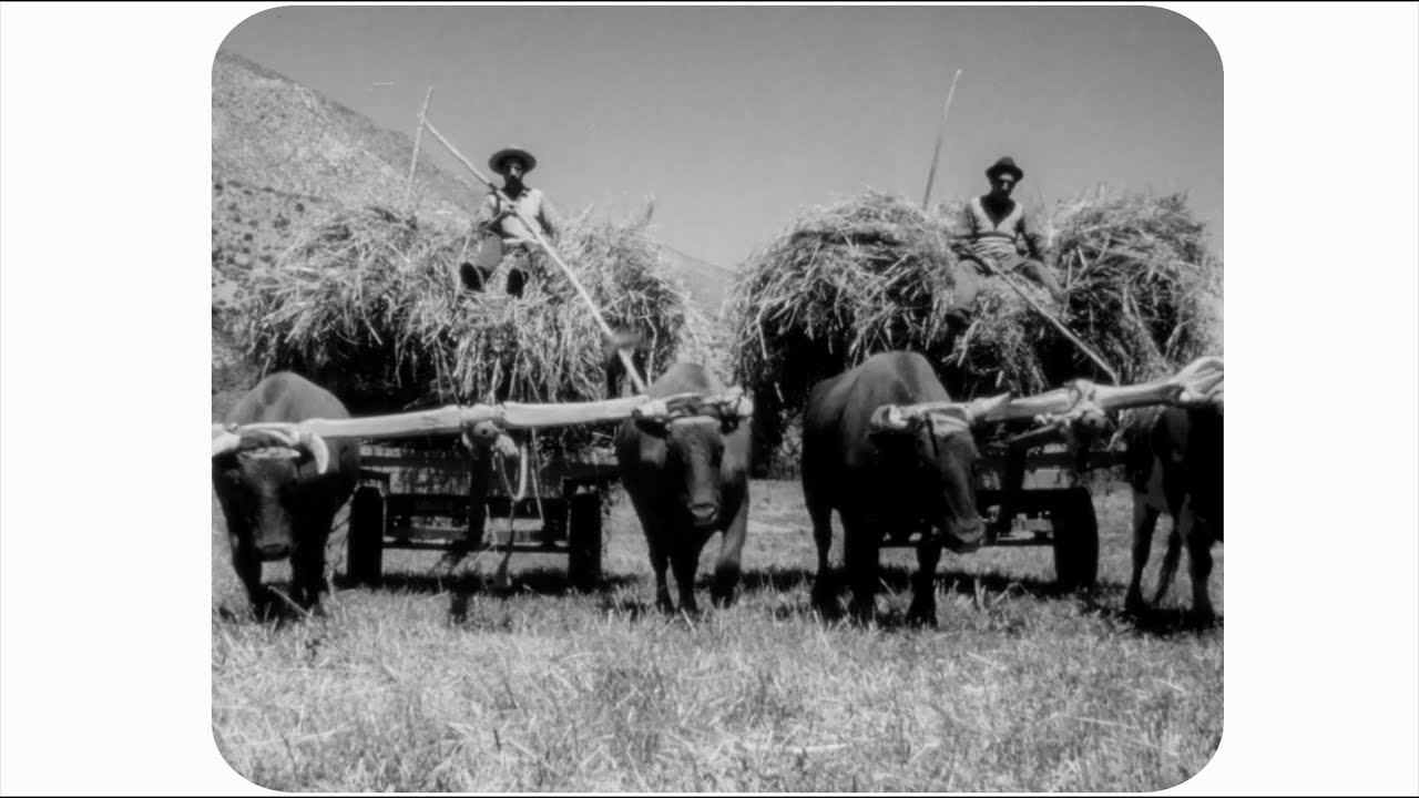 Testimonios de campasinos en la Reforma Agraria