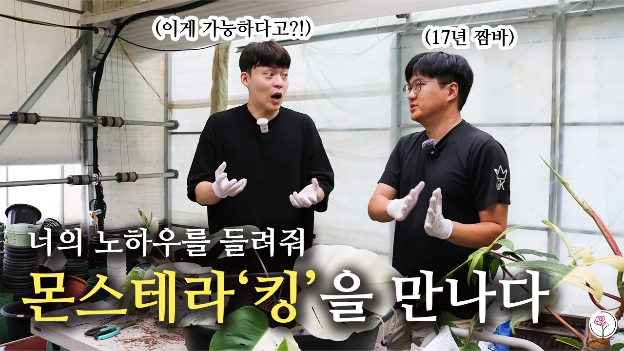 몬스테라 키우는 노하우 배우고 왔습니다ㅣ좋은 삽수 고르기ㅣ자르고 심기ㅣ분갈이 꿀팁까지!