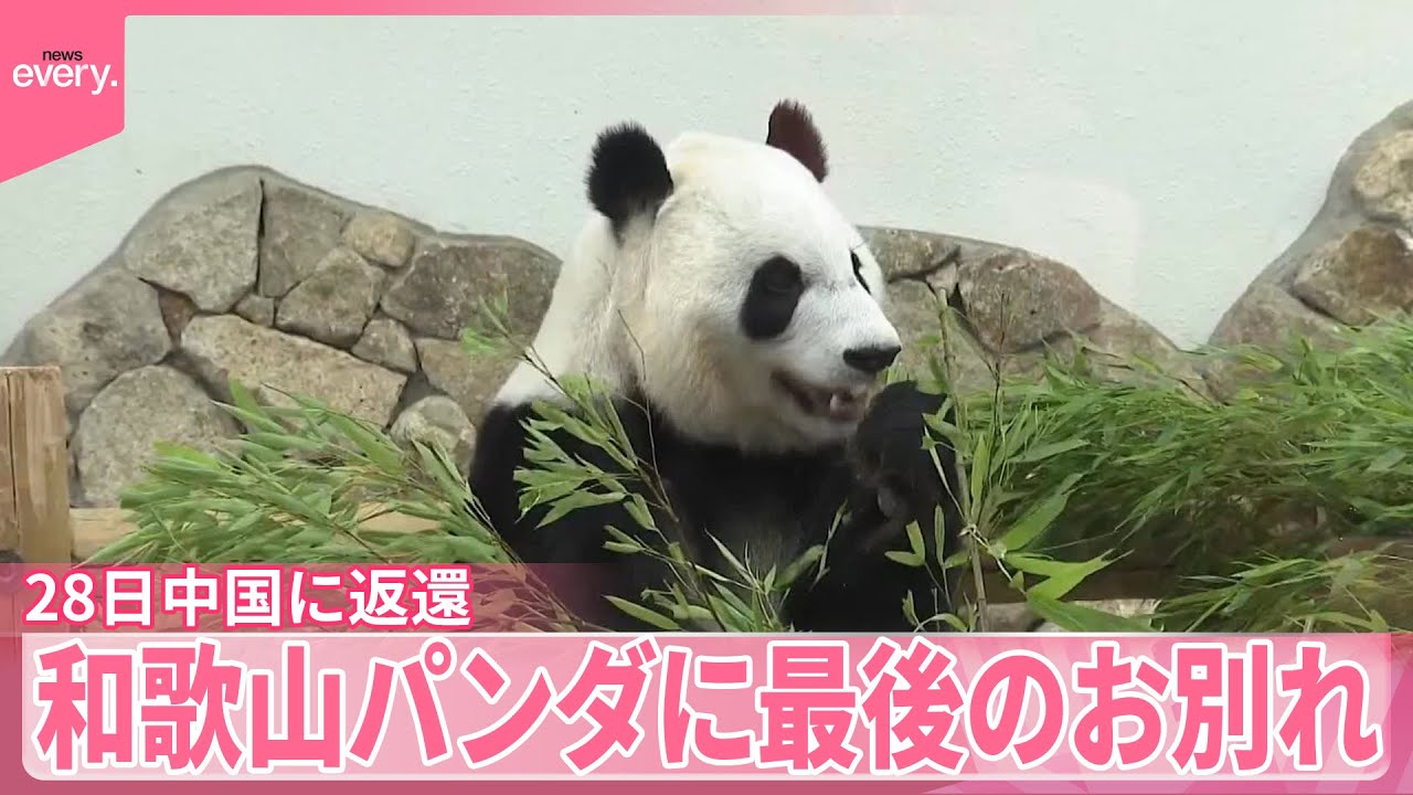 【和歌山パンダ】最後のお別れ　ファン駆けつけ「ありがとう」　28日中国に返還