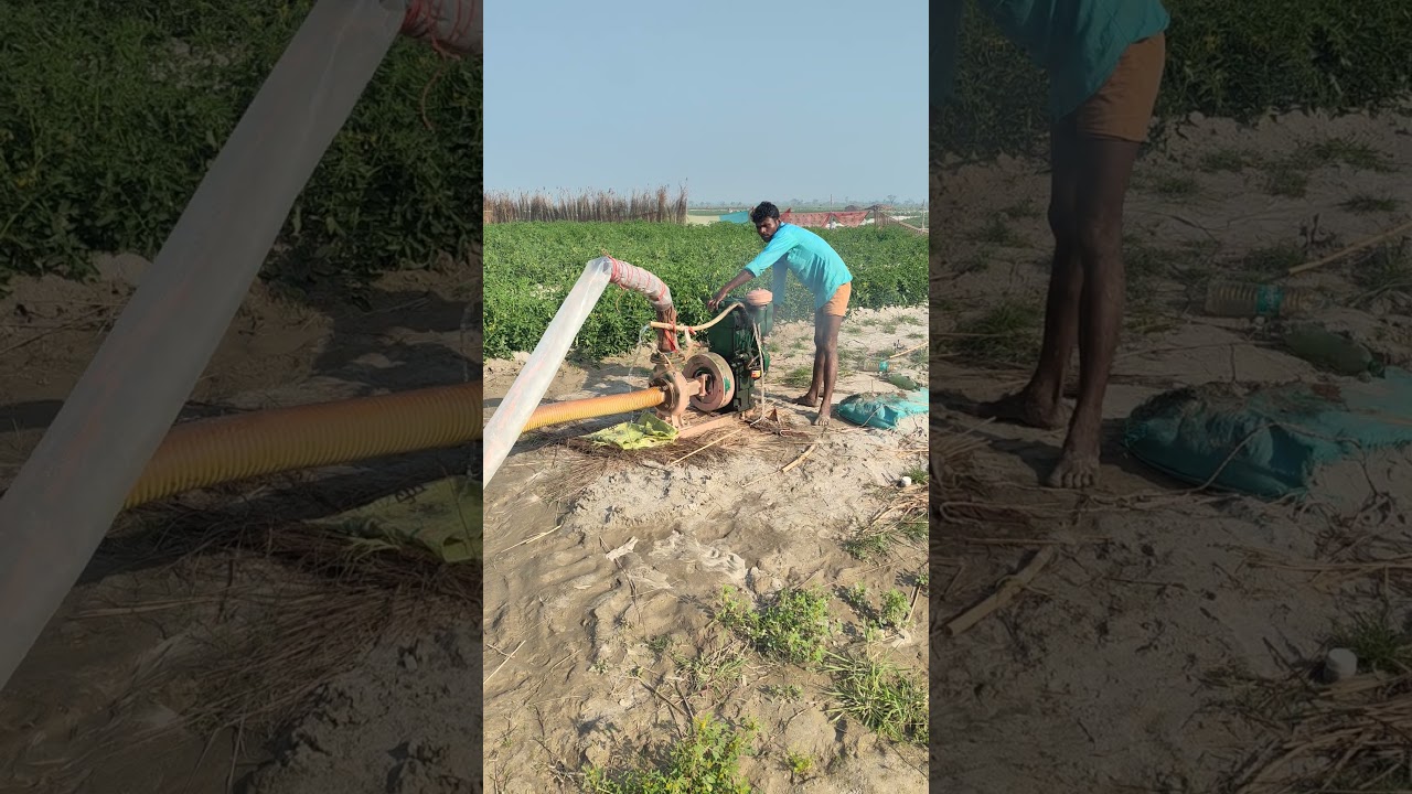 Only diesel engine and water pump support the farmer #waterpump #dieselengine