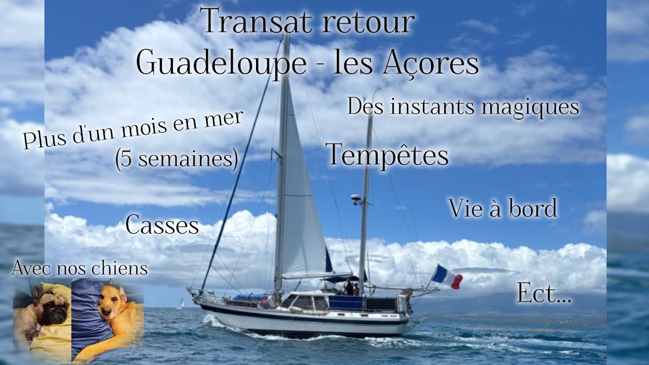 Transat retour - 5 semaines