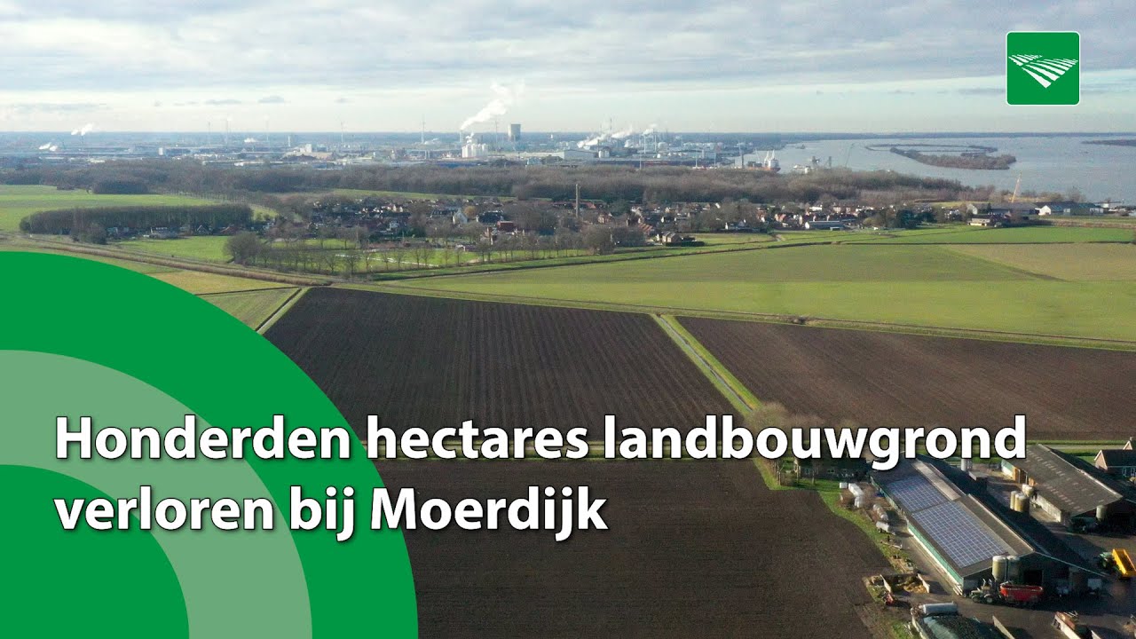 Honderden hectares landbouwgrond verloren bij Moerdijk
