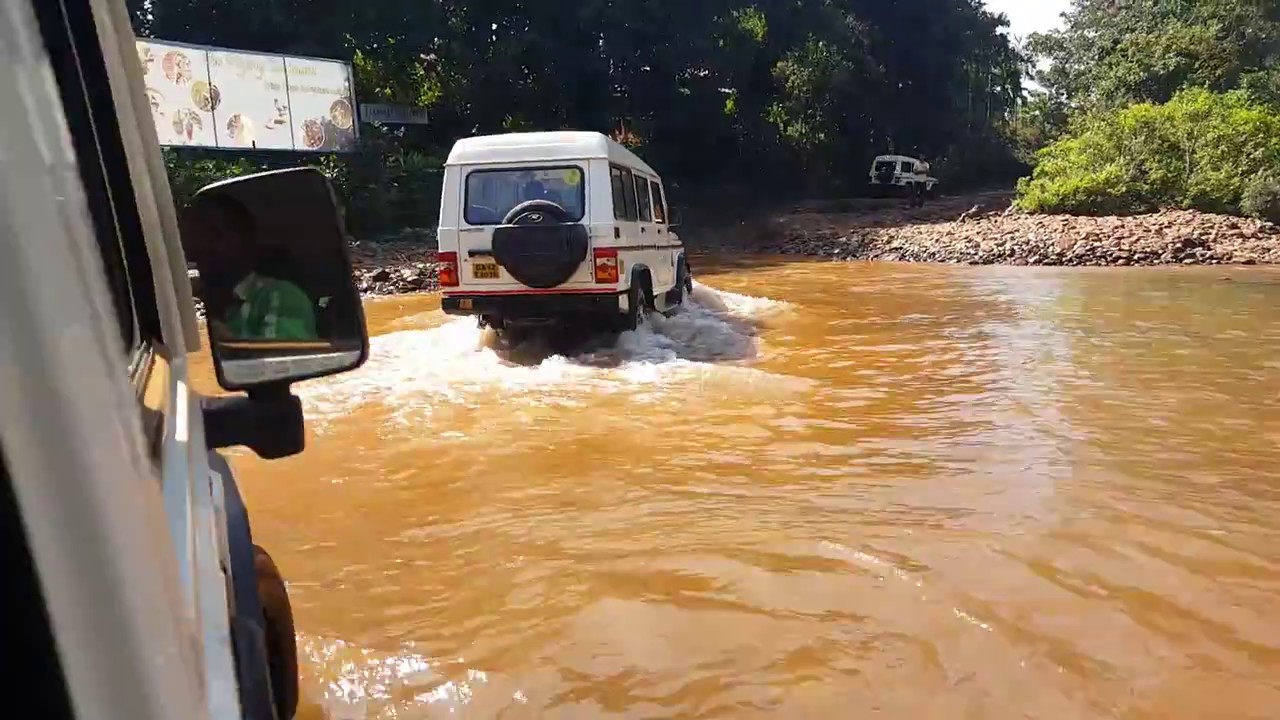 Drive in the woods - Way to Dudhsagar Waterfalls