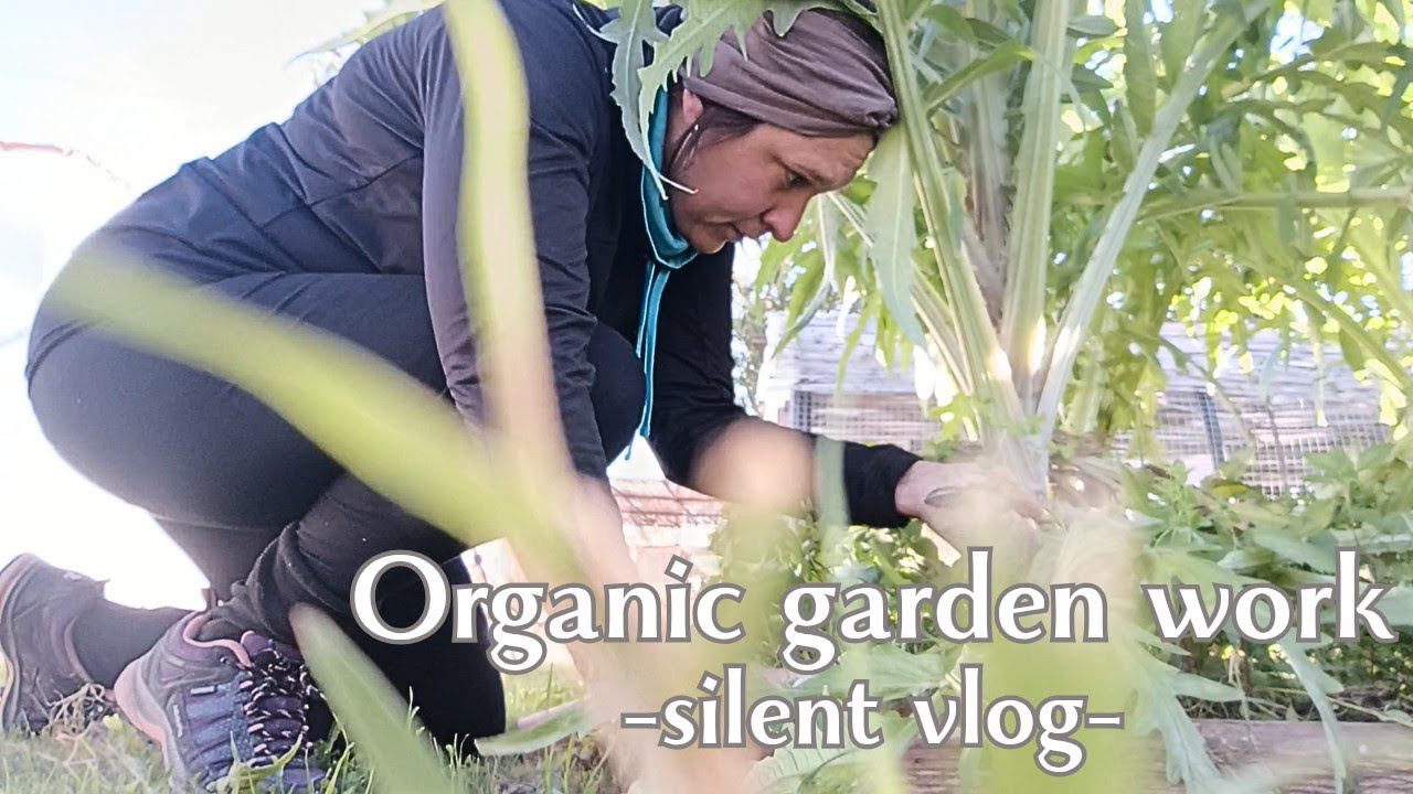 😌Quiet Day in the Organic Garden | Silent Vlog