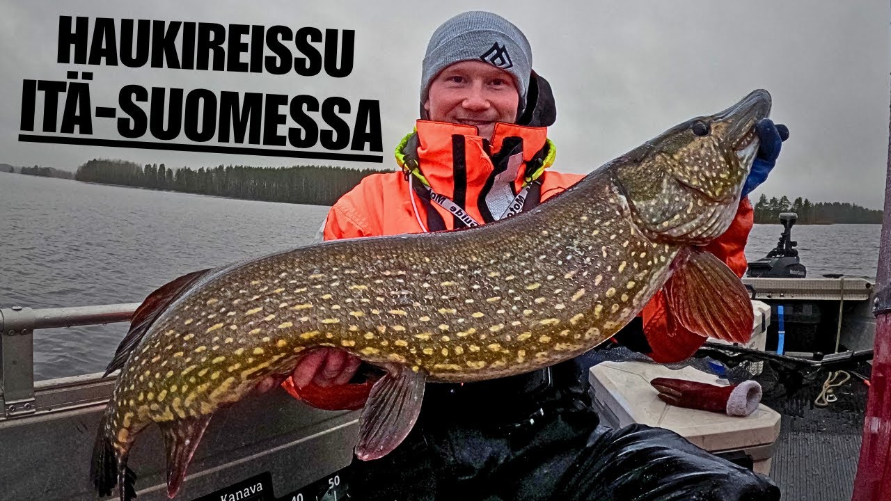 HAUKI JÄTTI MATKAMUISTON | HAUENKALASTUSTA ITÄ-SUOMESSA