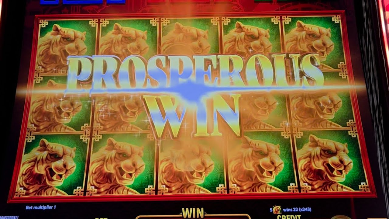 AWESOME COMEBACK ON COIN TRIO FORTUNE TRAILS!!!