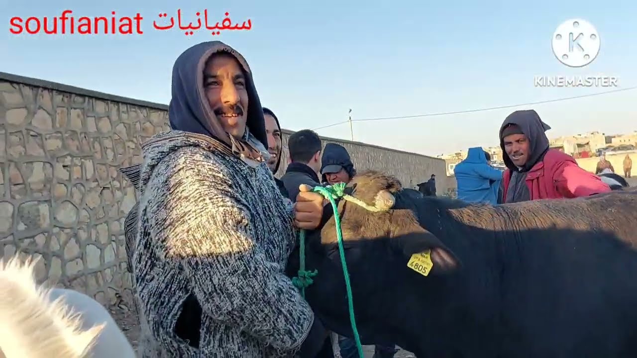 9\2\23 كاين ما يتشاف برحبة الابقار بابي الجعد،مع سفيان السوق كيحلا!2 درايب p noir للبيع 0610286901
