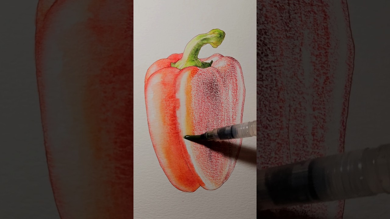 Derwent Inktense Colored Pencil Sketchbook Art: Red Bell Pepper