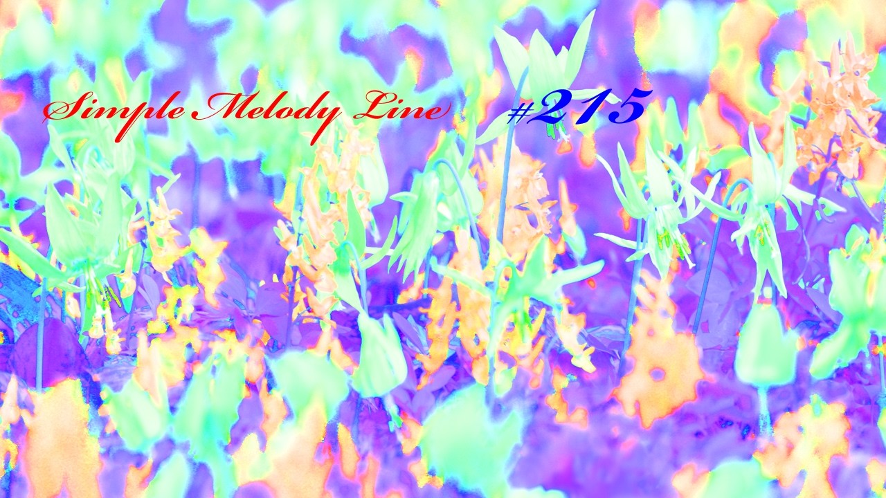 ＳＭＬ＃２１５