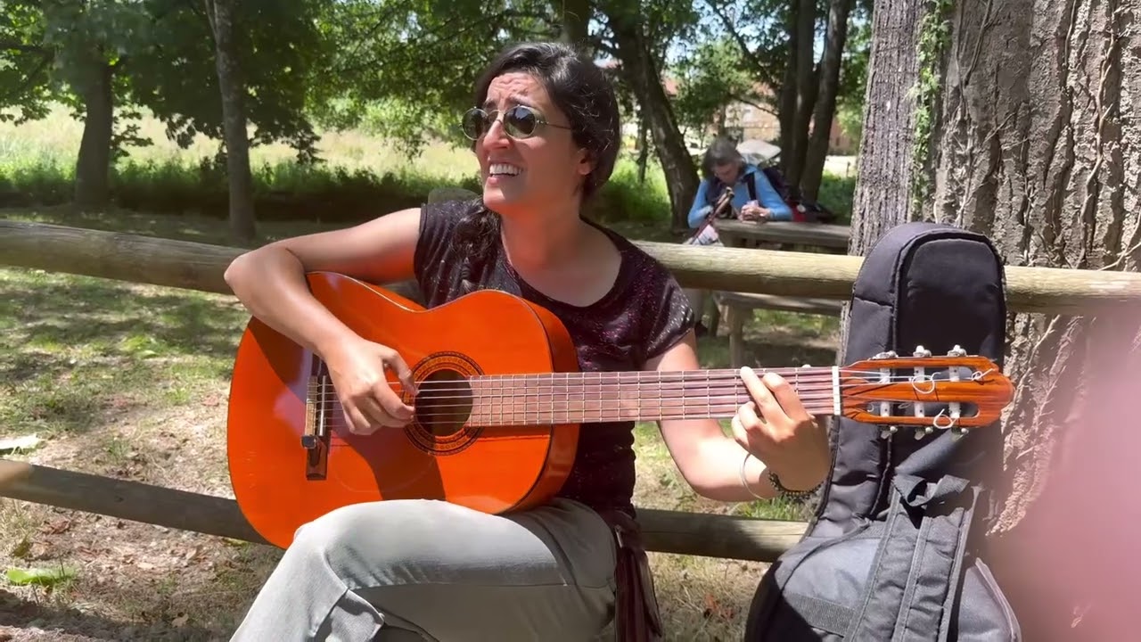 Camino primitivo silla de ruedas