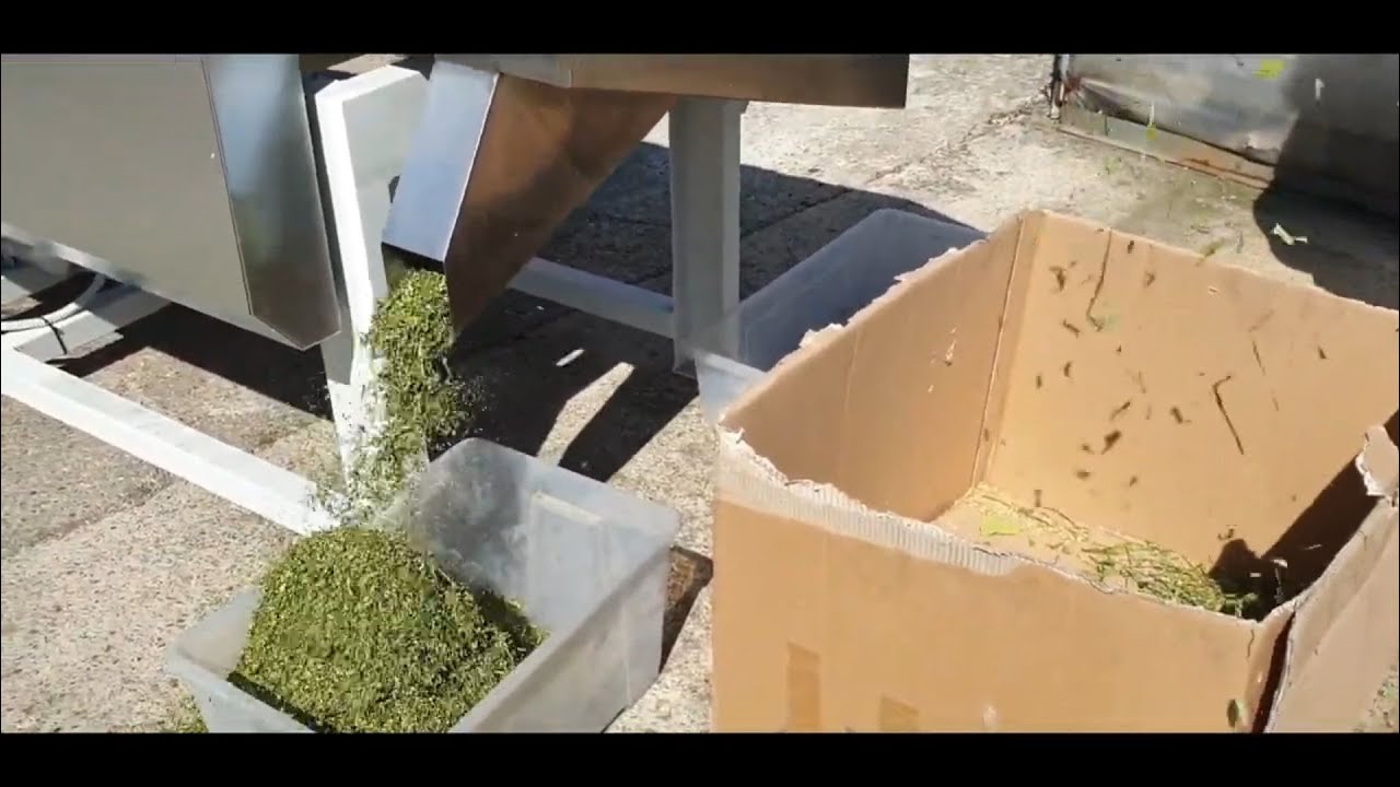 Hemp separating machine + sifting