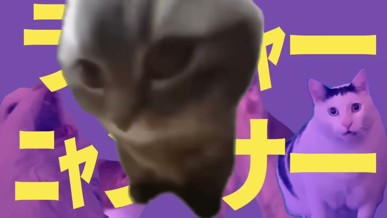 ライﾆｬーﾆｬンサー