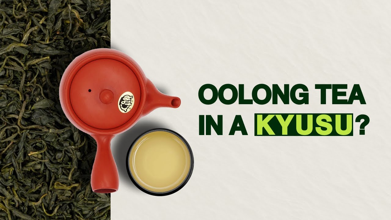 Can You Brew Oolong in a Kyusu Teapot?
