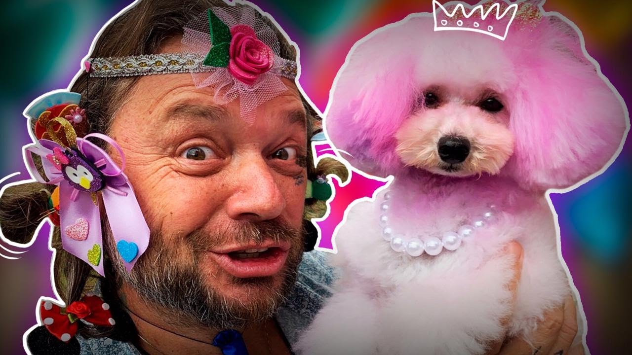 BRILHO E PURPURINA ANIMAL! | RICHARD RASMUSSEN