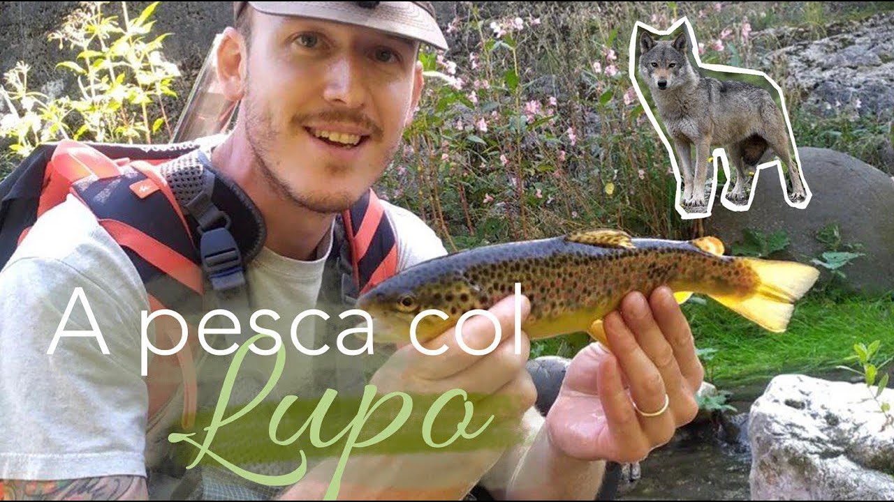 Peschiamo piccole #trote di torrente finchè non incontriamo un #lupo selvatico