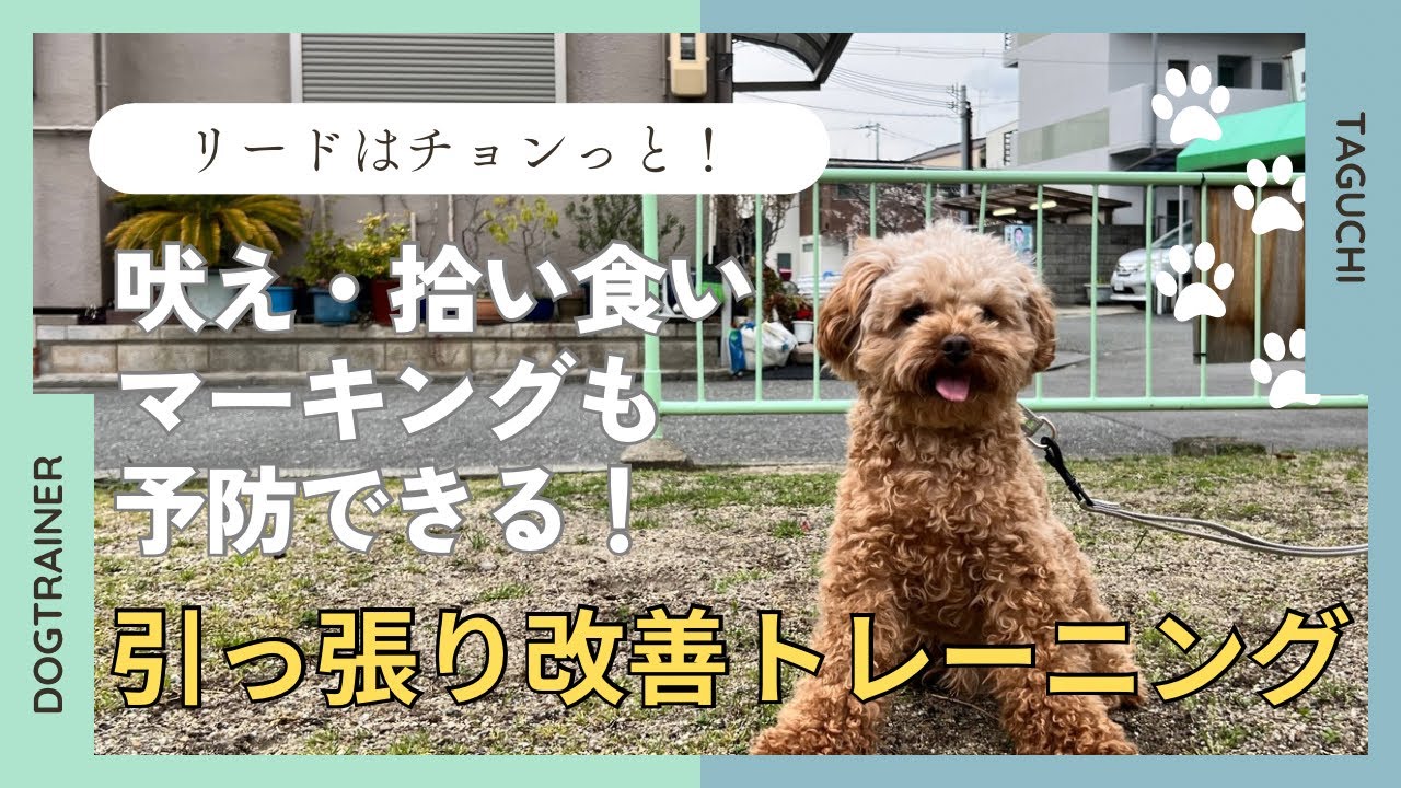【引っ張り】引っ張り改善トレーニング